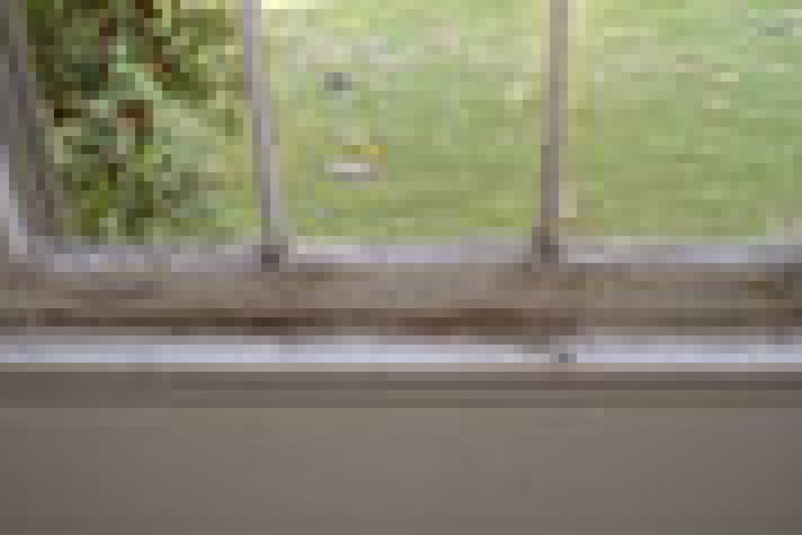 mold_window